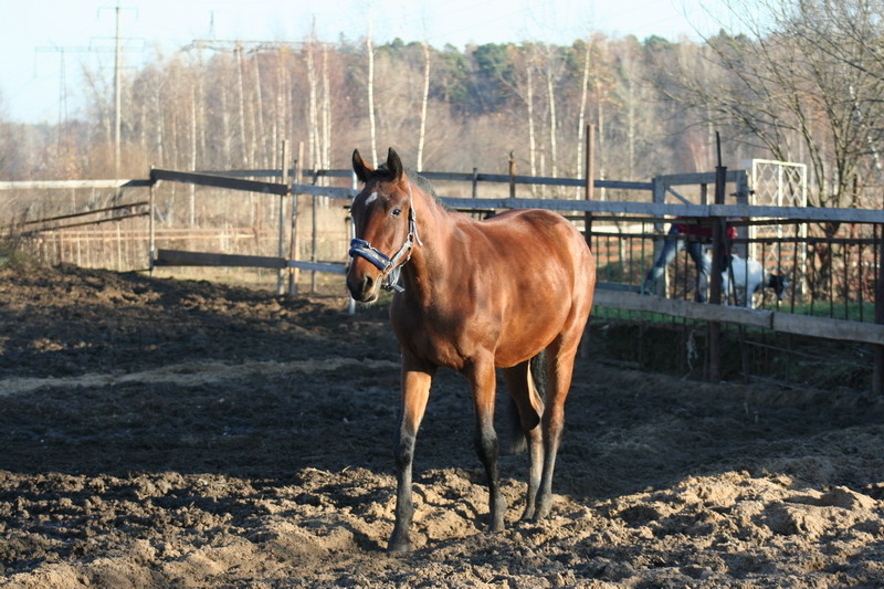 IMG_1269.jpg1.jpg"%20height="533"%20width="800